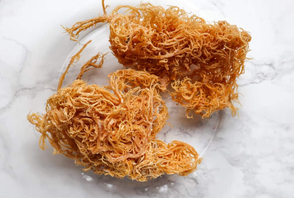 Dried Raw Irish Sea Moss