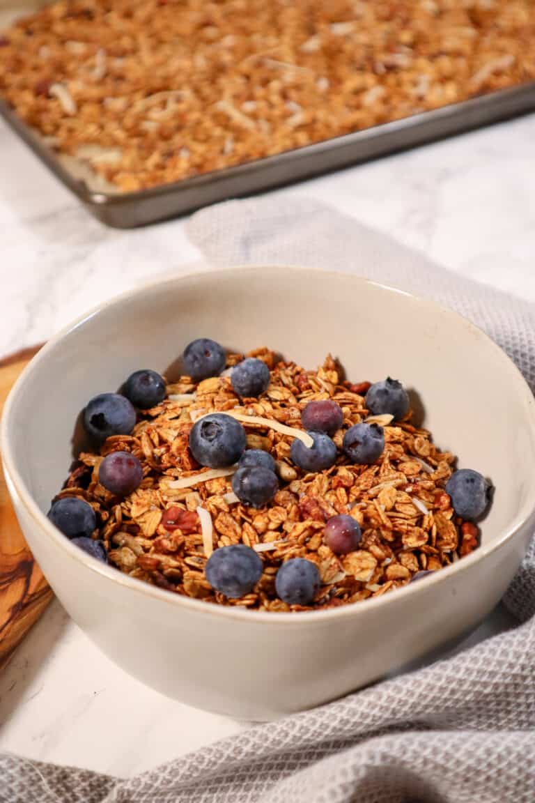 gluten free protein granola in a white bowl topped with blueberries