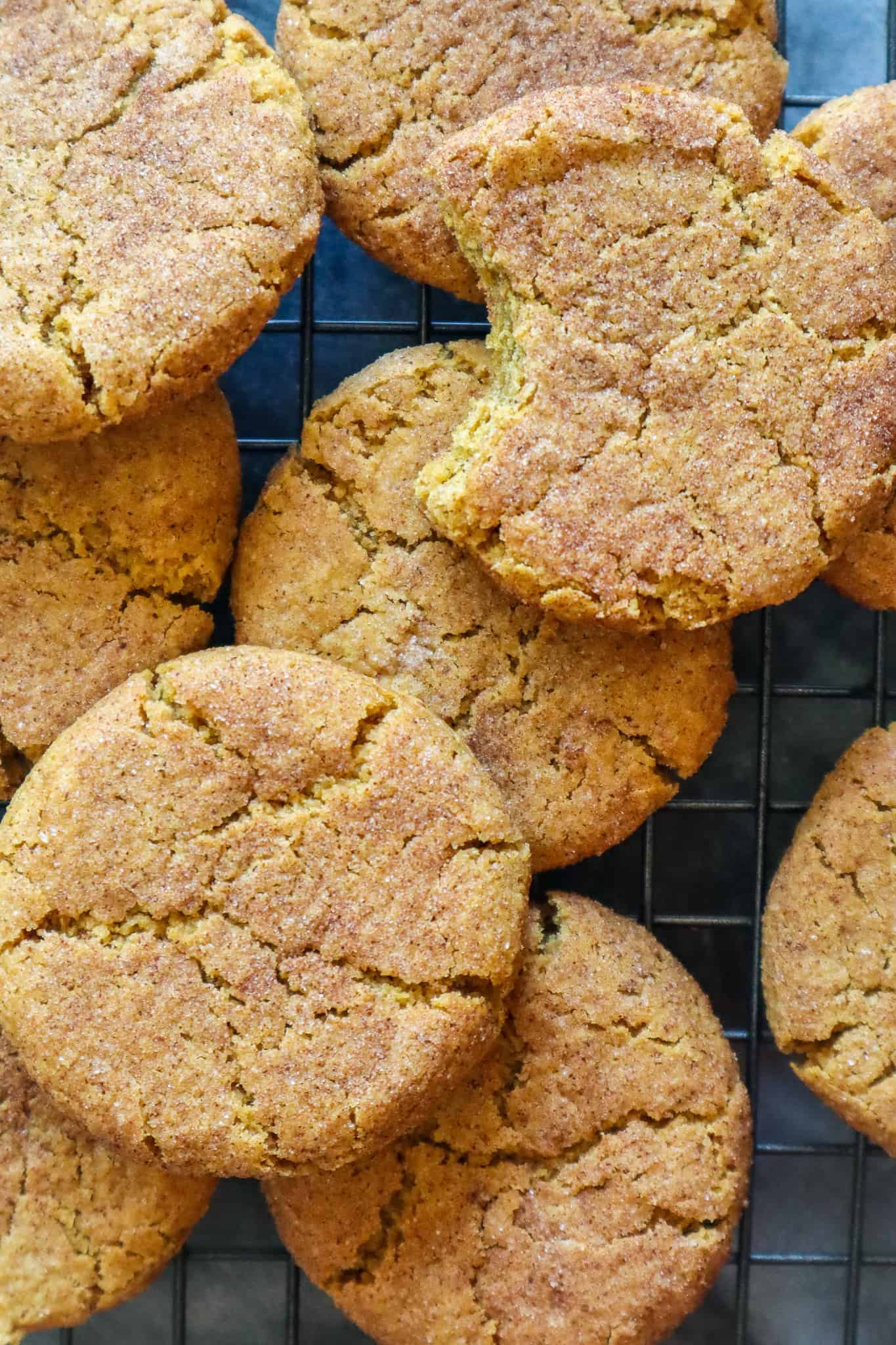 the best homemade snickerdoodle cookies gluten free