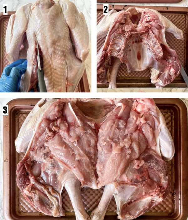 image steps for how to spatchcock a turkey