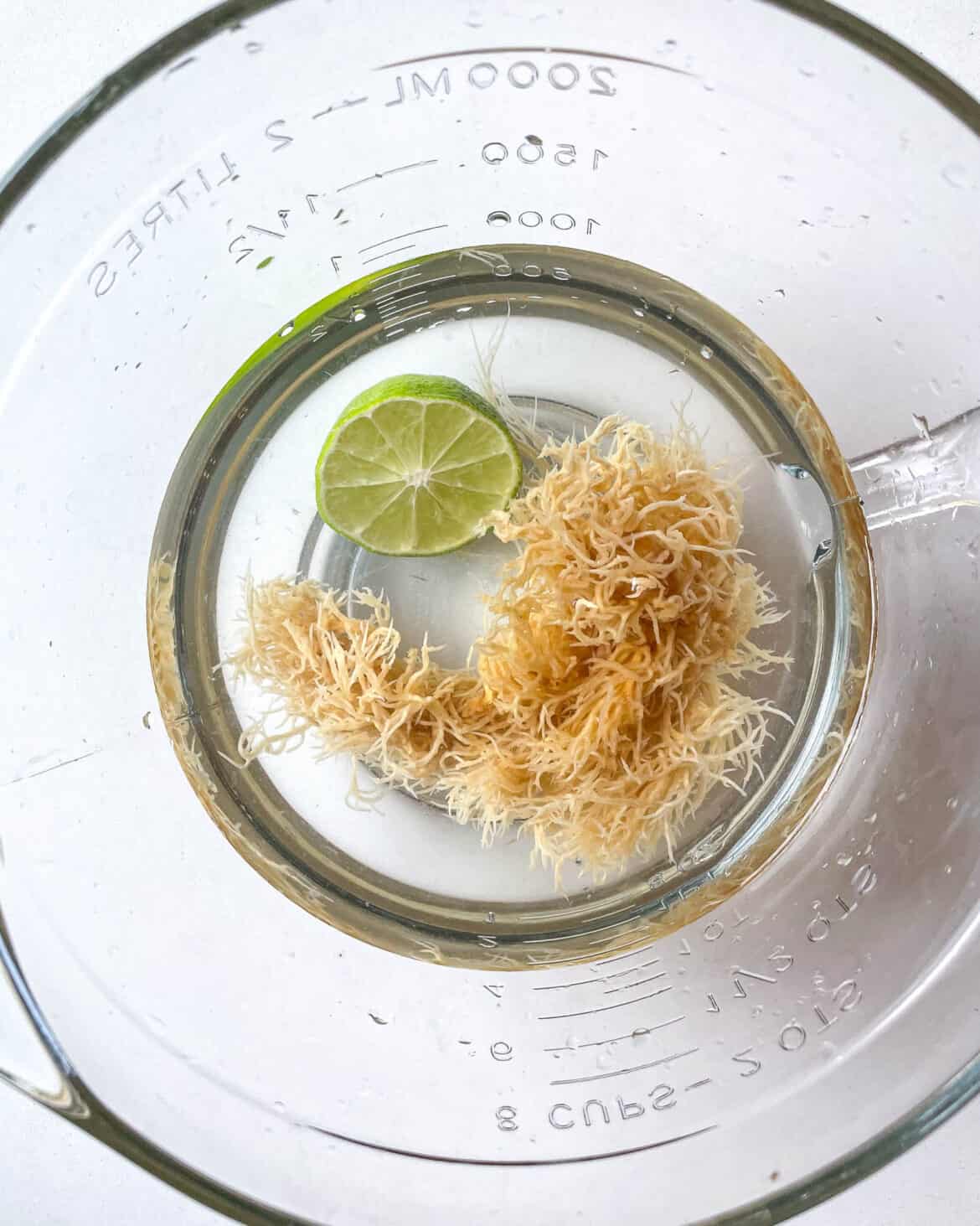 How To Boil Sea Moss To Make Sea Moss Gel Good Food Baddie