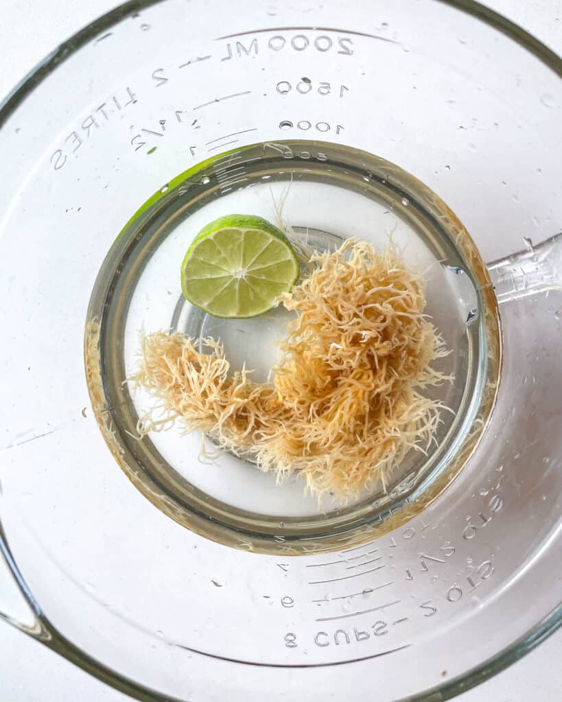 irish moss in a bowl with water and lime