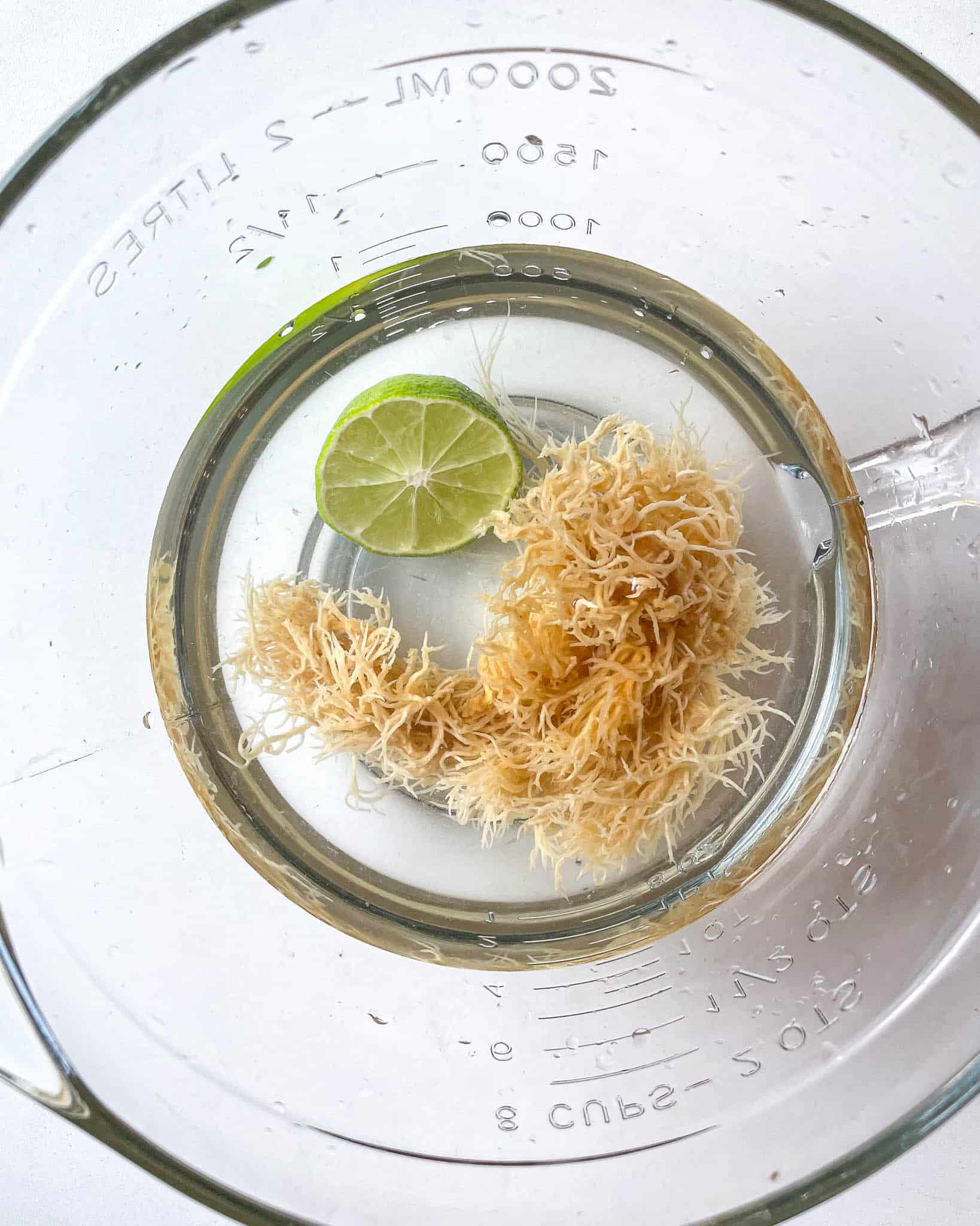 What is Sea Moss Gel?: - Good Food Baddie