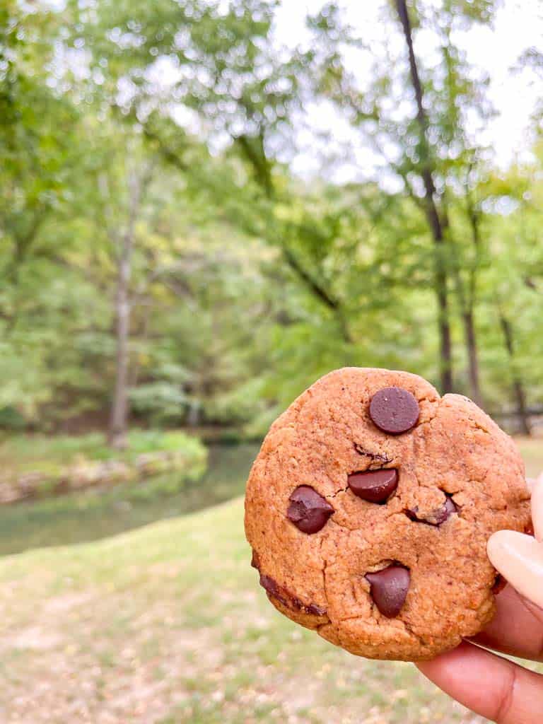 protein cookies being held up with trees and a stream in the background