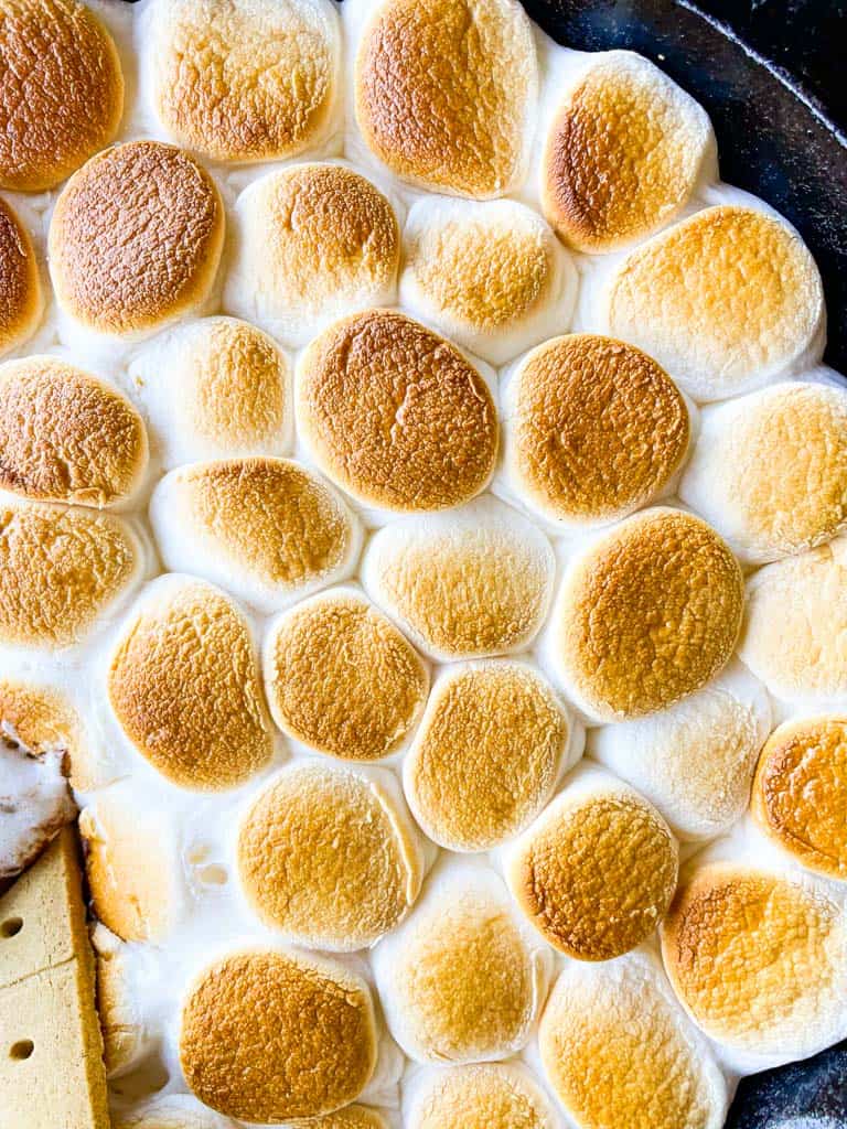 close up view of toasted marshmallows