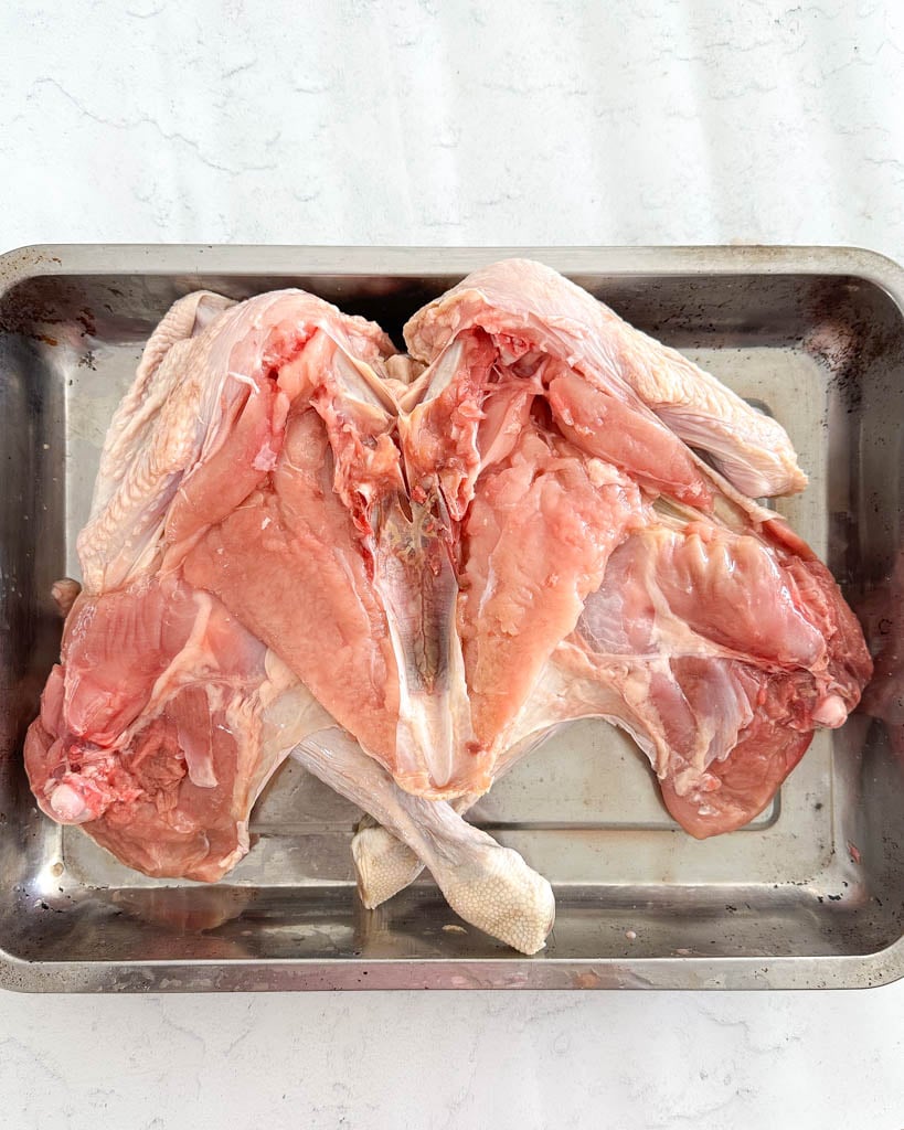 back side of butterflied turkey placed flat in a roasting tray