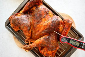 meat thermometer placed in turkey that reads 170F to show turkey is fully cooked
