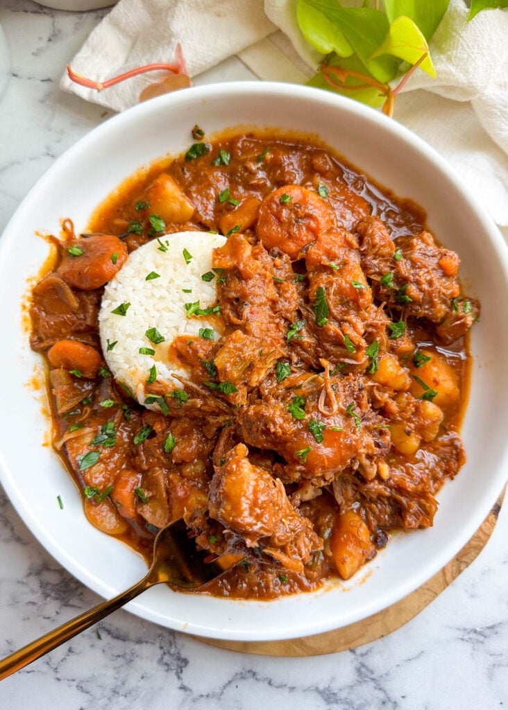 a bowl of oxtail stew with white rice