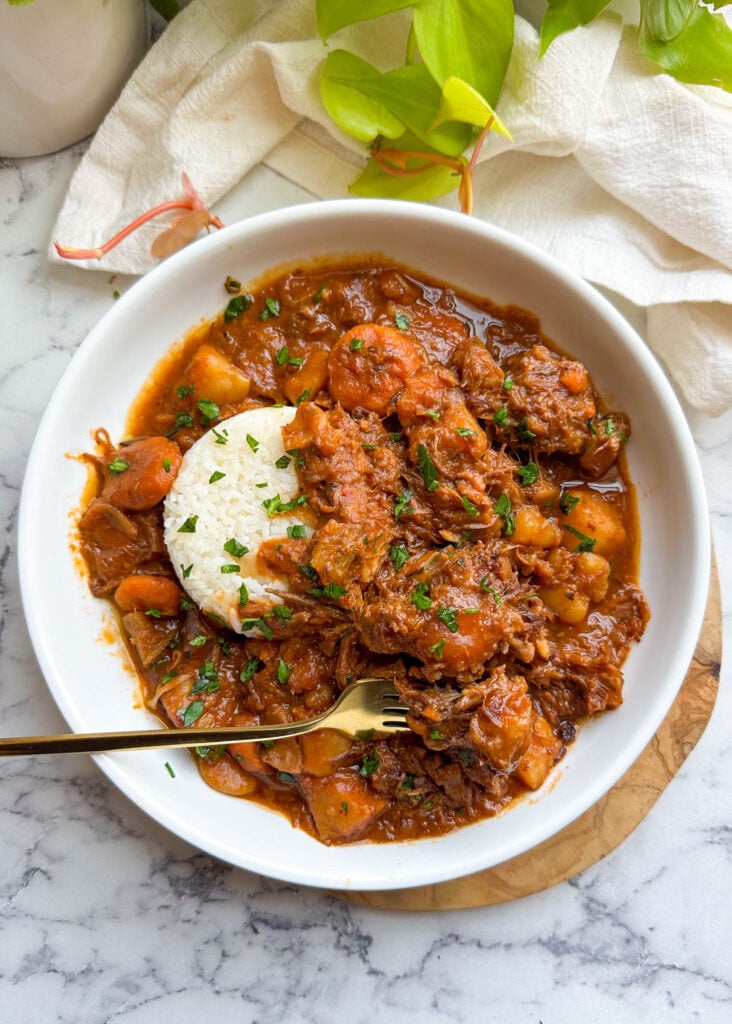 a bowl of oxtail stew with white rice