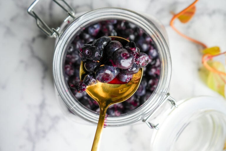 Fermented Blueberries (only 2 ingredients!)