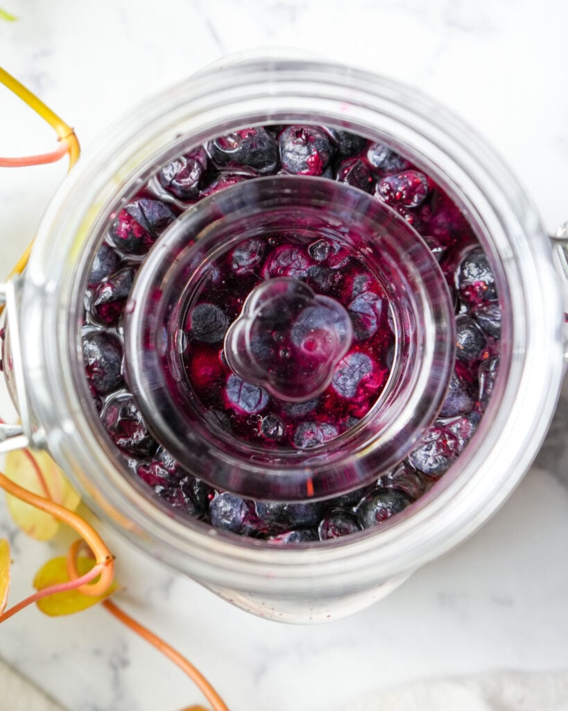 A top-down view of a jar of fermented blueberries with a fermentation weight pressing them down into the liquid.