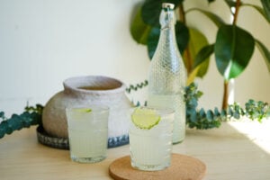 homemade ginger ale