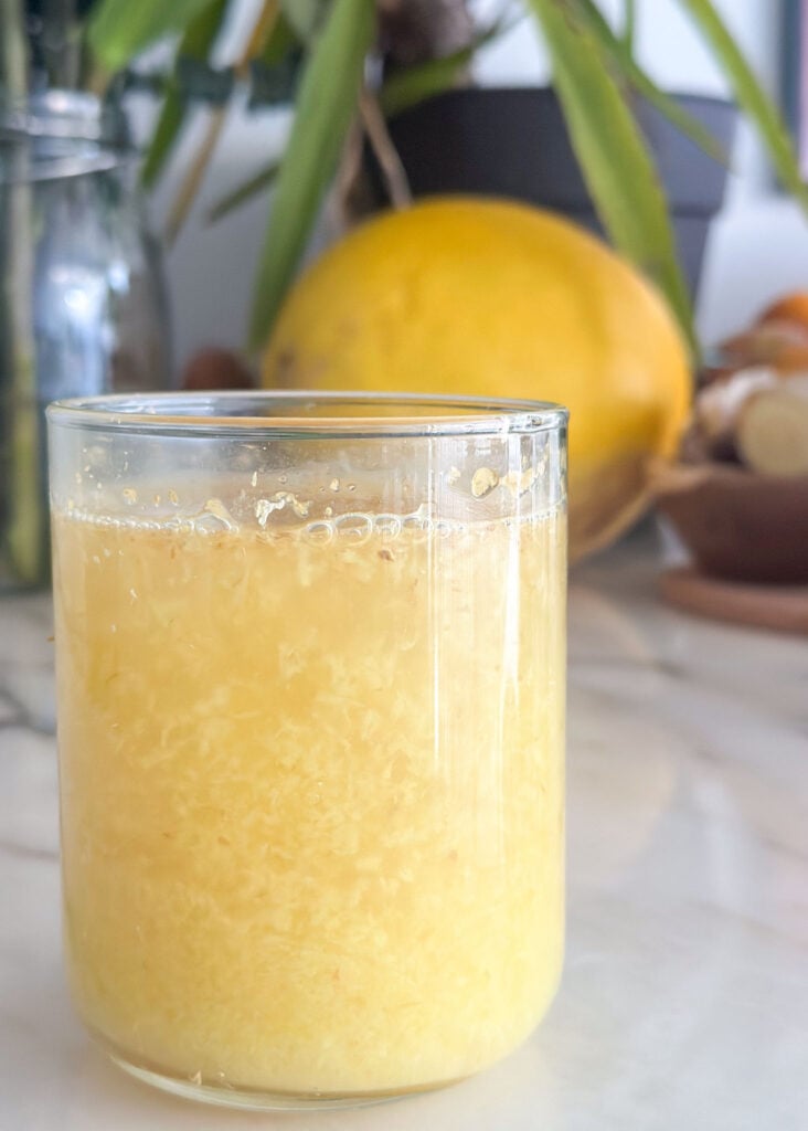 homemade ginger bug homemade ginger bug in a glass