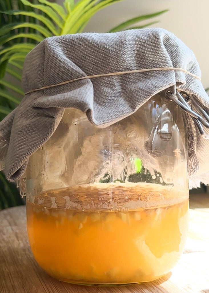 Ginger Bug made with honey ready to use Ginger Bug made with honey ready to use