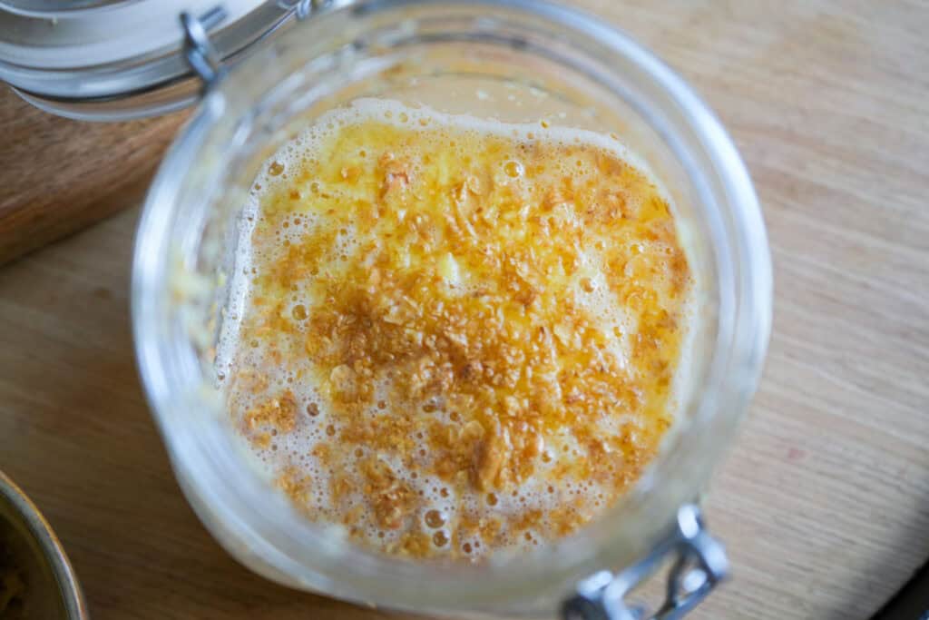 active ginger bug in a mason jar