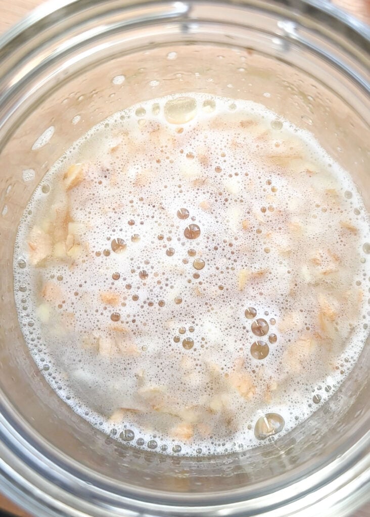 view of ginger bug made with sugar and white foam and bubbles are at the top