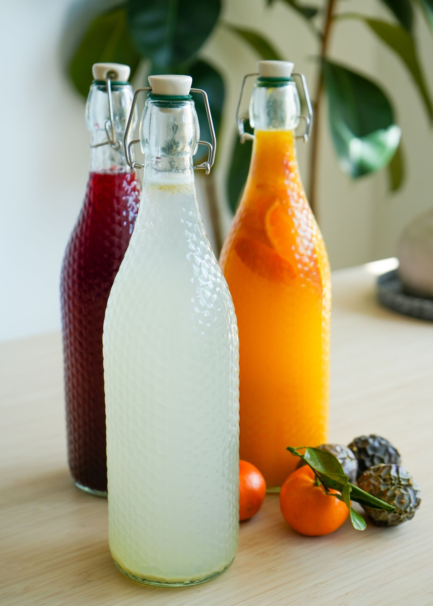 How To Make Probiotic Soda Using A Ginger Bug