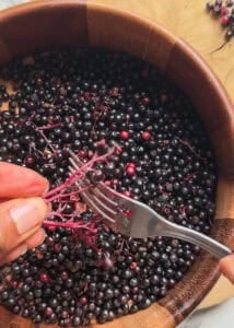 removing elderberries from stem